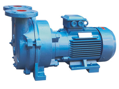 Water-Ring-Vacuum-Pump